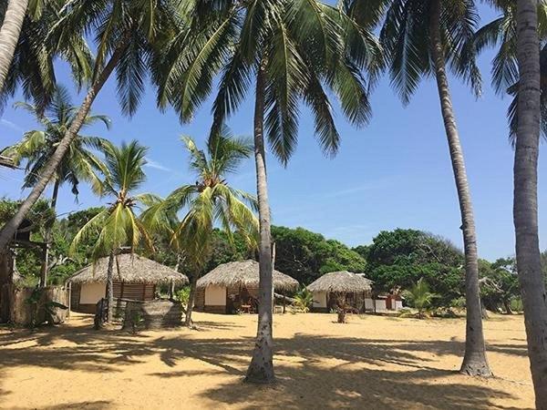 Upali Beach Surf Resort & Cafe 阿鲁甘湾 外观 照片